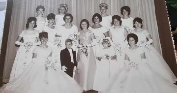 Musings of a 1965 Dapto debutante