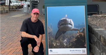 Thirroul ocean photographer’s underwater world has surfaced beyond gallery walls in Kiama