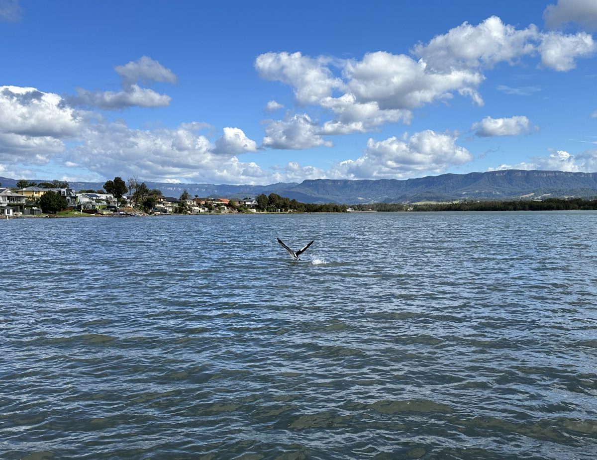 Burroo Bay on Lake Illawarra