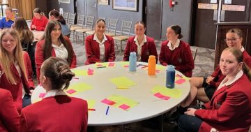 Illawarra students explore careers in childcare and aged care to address critical skills shortages