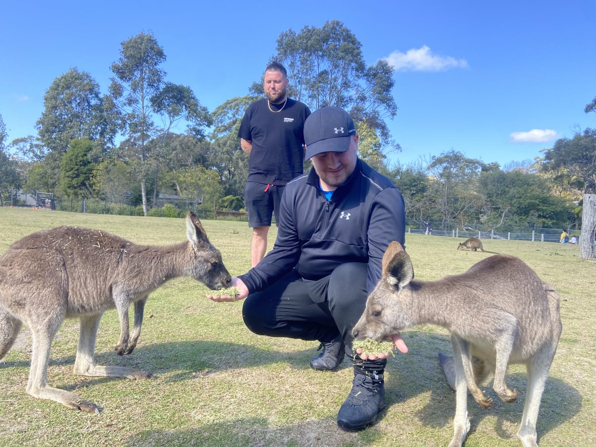 Darts Premier League winner Luke Littler and former World Champion Michael Smith feed kangaroos at Symbio Wildlife Sanctuary