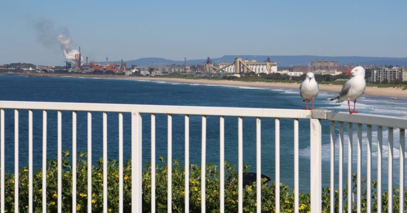 SGH–Steel Dynamics lodge ‘best and final’ $15b bid for BlueScope