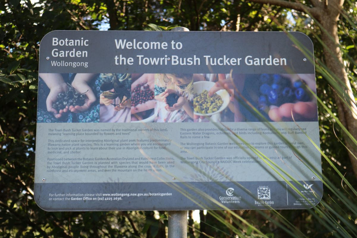 Bush tucker garden