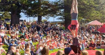 KISS Arts Festival calls on community support after losing funding due to Kiama's new city status