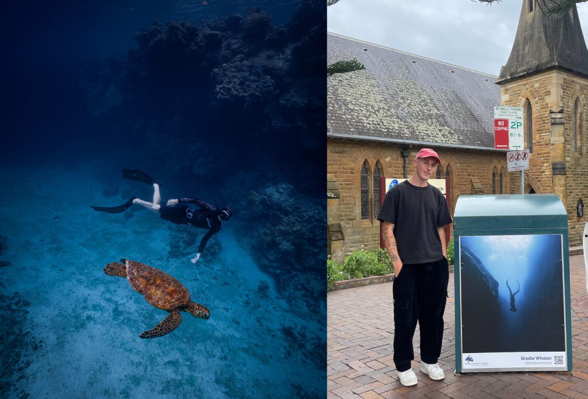 composite of a diver and a turtle, and a man with his photo featured on a bin shelter