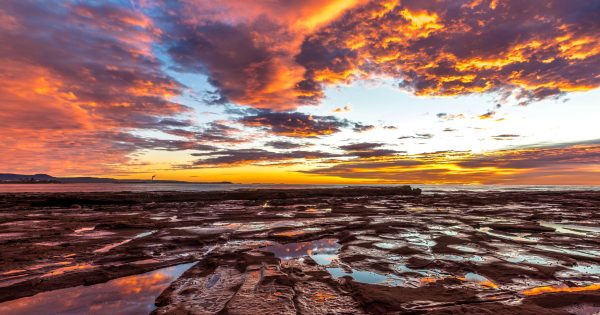 Residents shoot the stunning 'wilds' of Shellharbour