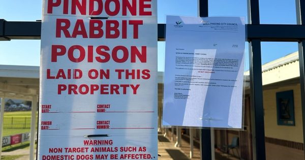 Warning issued over rabbit poison at Woonona park