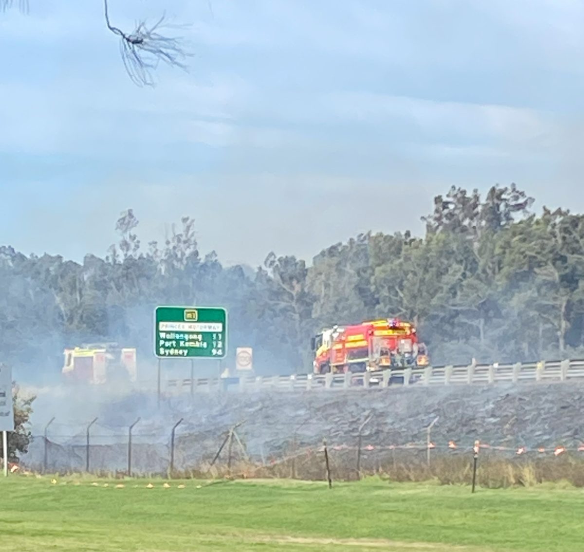 Do you know who is responsible for the bushland and grassland near your home? 