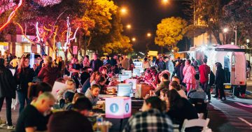 Stallholders, performers and foodies wanted for Warilla eco-friendly festival