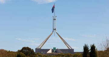 Labor dumps misinformation bill and more as last week of parliament begins