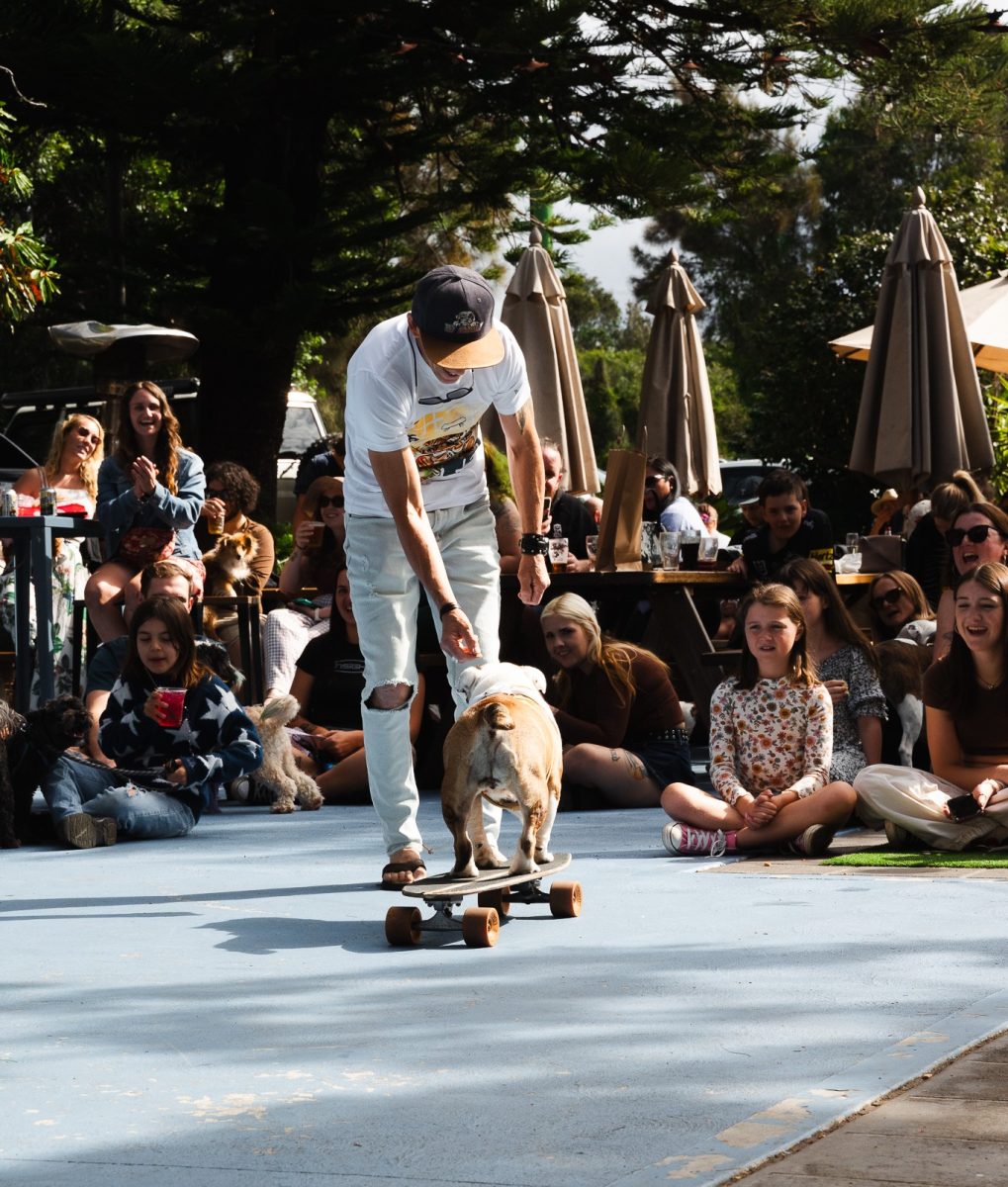 Does your dog have a few tricks up their sleeve? Show them off at North Gong Dog Day.