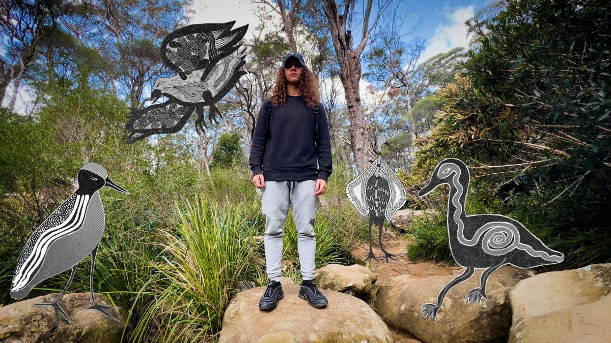 Man stands on large rocks with illustrations of birds in black and white around him