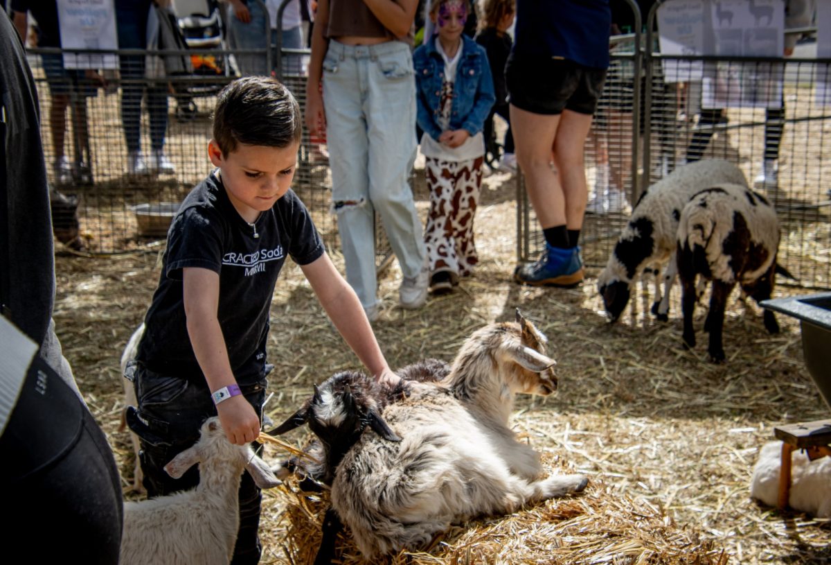 Dapto Country Show 2024