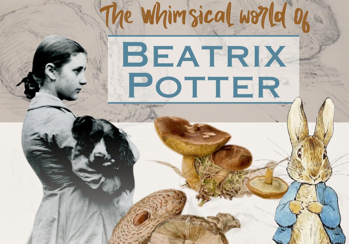 Flyer for The Whimsical World of Beatrix BPotter event at Shellharbour Civic Centre