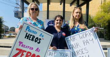 'Little wins': Nurses and midwives vote to accept interim government offer