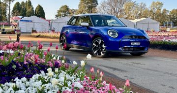 The new MINI Cooper proves electric can be fun (and not too embarrassing when you take a wrong turn)