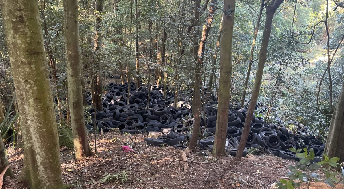 Tyres dumped in bush