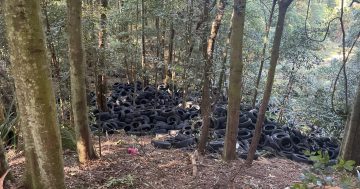 Man fined $60,000 after dumping 2000 tyres in Macquarie Pass National Park