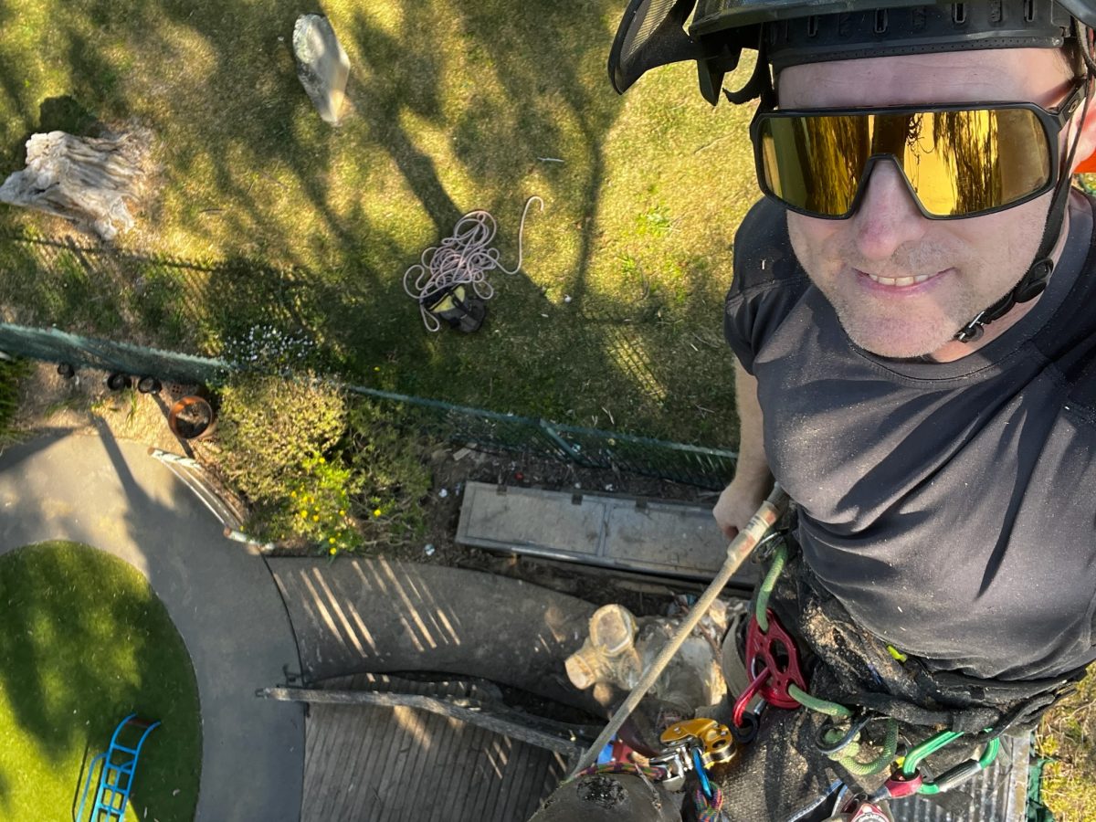 Man wearing glasses up a tree