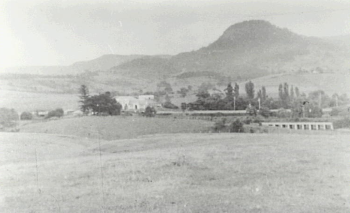 Paddocks and buildings in background