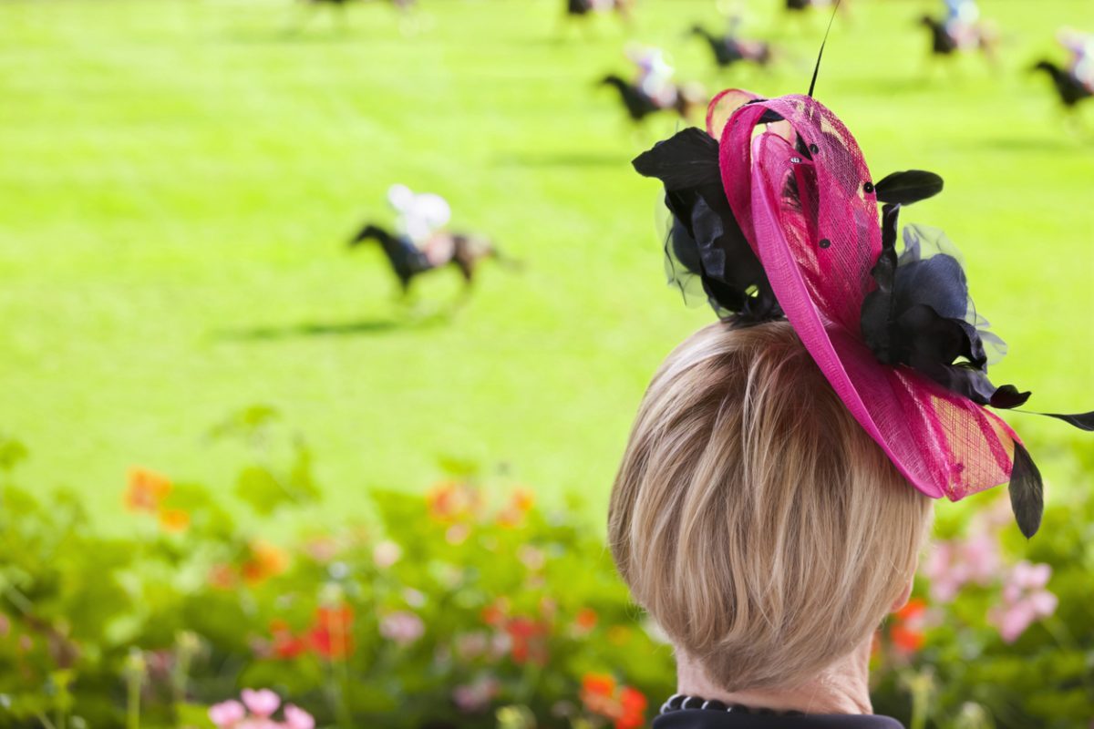 A fashionable lady, dressed for the occasion at the racetrack, watching thoroughbred race horses in a flat race on turf in front of the grandstand on a summers day