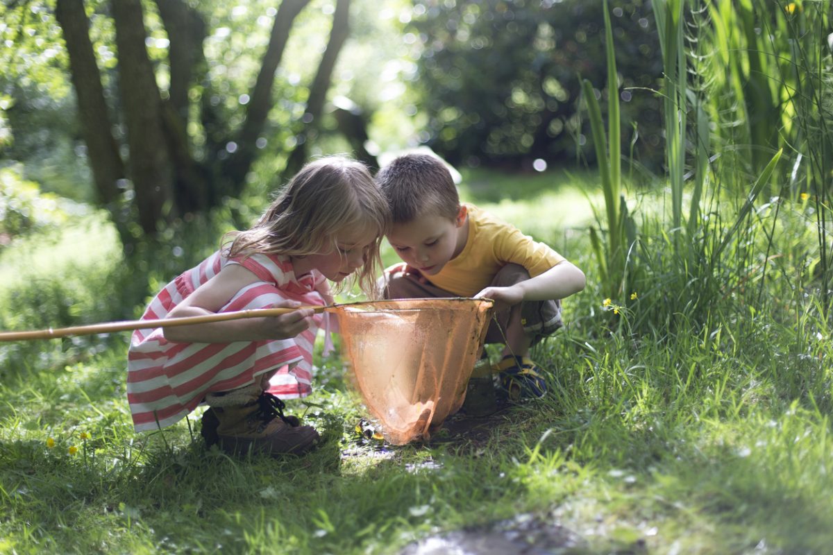 Kids looking into a net near a pond