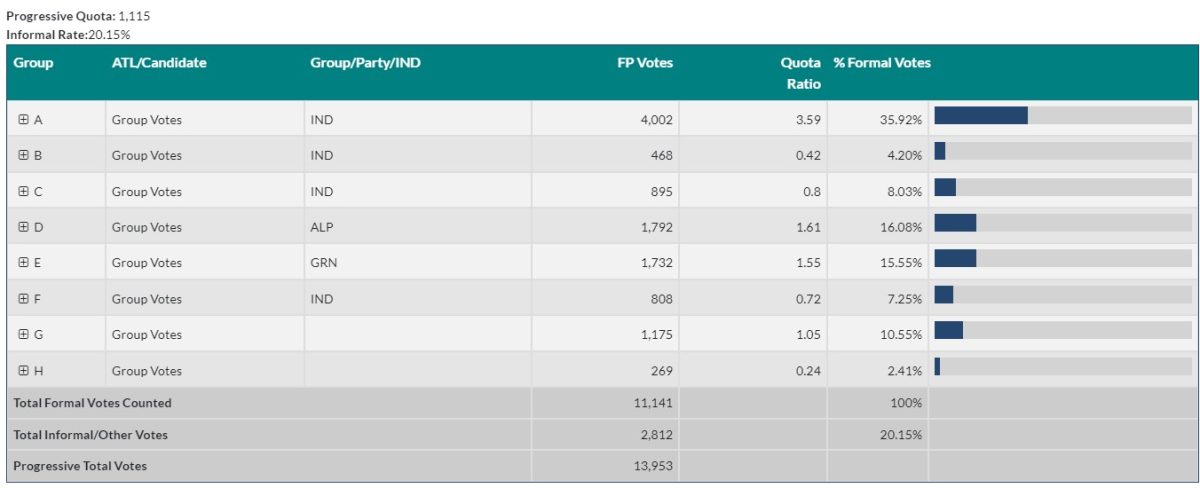 council election results