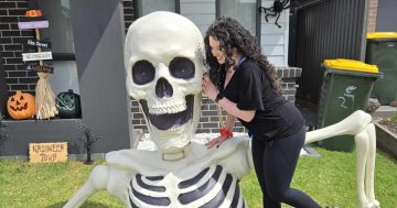 Looking for the most decked-out haunted houses in the Illawarra? Here's our guide