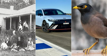 QUIZ: Where would you find this forgotten suburb? Plus 9 other questions