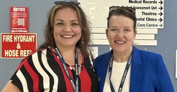 Illawarra volunteers like Catherine are helping older patients transition from hospital to home in new pilot program