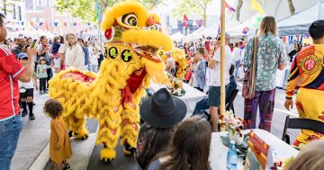 Nine things to do in the Illawarra this week (18 - 24 October)