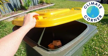 Climate Corner: Is recycling a scam – and what should you do about it?