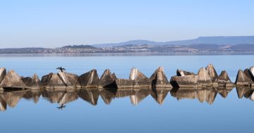 Councils 'make haste slowly' on long-term Lake Illawarra management plan