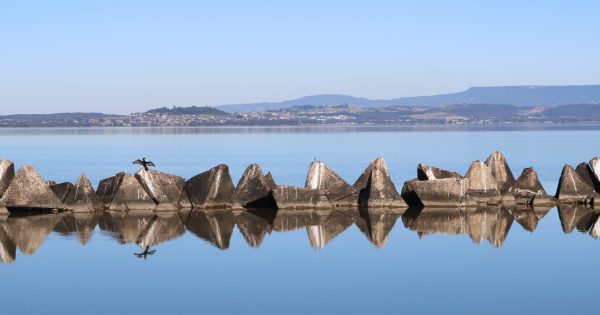 Councils 'make haste slowly' on long-term Lake Illawarra management plan