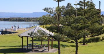 Illawarra property market bucks the national trend