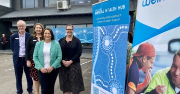 'No wrong door': New free adult mental health hub opens in Nowra
