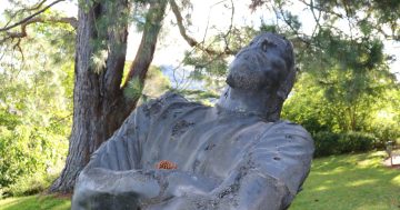 Competition now open to find Botanic Garden's next permanent piece of art
