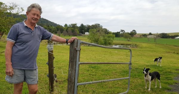 Jamberoo Aquaculture’s long history of keeping farmers' dams clean with fingerlings and yabbies