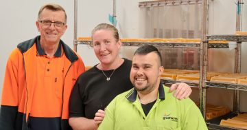 Helensburgh dog treat startup lands Shark Tank deal after rapid growth fuelled through Greenacres partnership