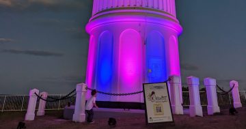 Shine a light at Wollongong memorial services for pregnancy and infant loss