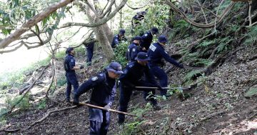New information in the hunt for Pauline Sowry leads to bushland search near Figtree