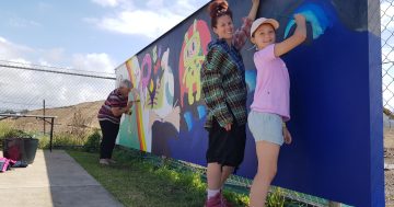 Latest Shell Cove mural installation building community one stroke at a time