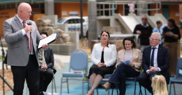 Kids big and small give upgraded Hindmarsh Park the seal of approval