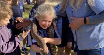 Iconic Batemans Bay tourist attraction, Birdland, closes its gates