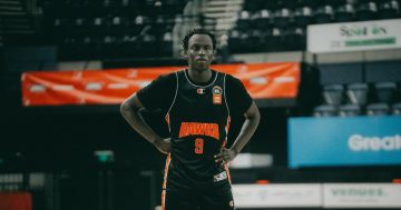 The Illawarra Hawks' quiet achiever who's happy to let his actions do the talking
