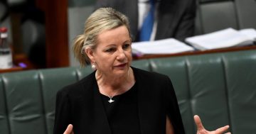 Sussan Ley favourite to become first female and rural NSW-based Liberal Party leader