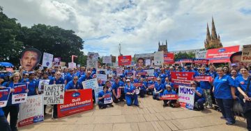 Illawarra nurses join statewide strike as Health Minister slams action