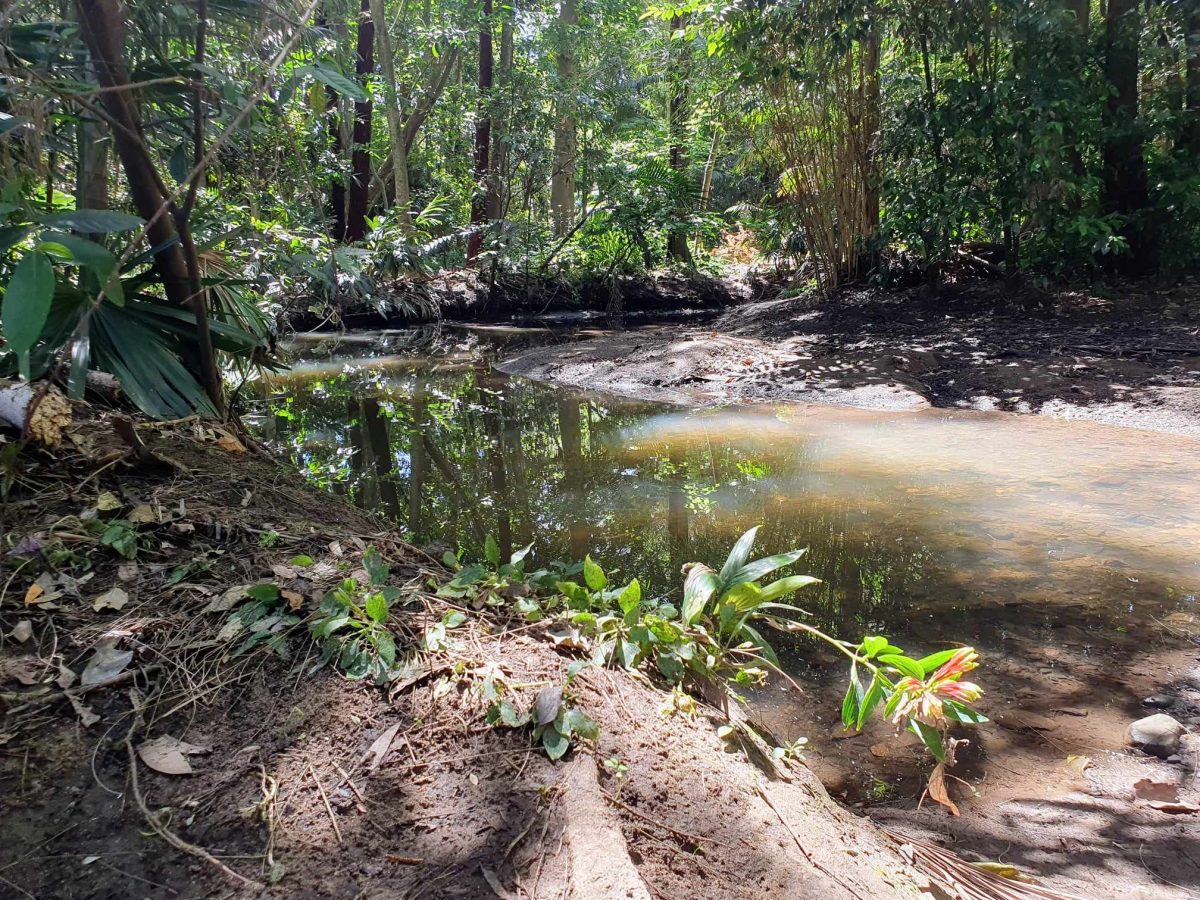 A creek can be a beautiful backyard feature - or a flood risk. It all depends on how you care for it.