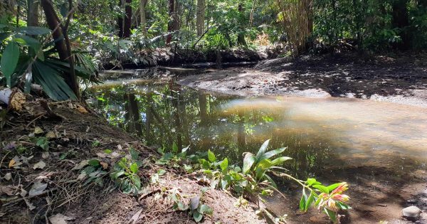 Whose job is it to make sure your local creek runs clear?