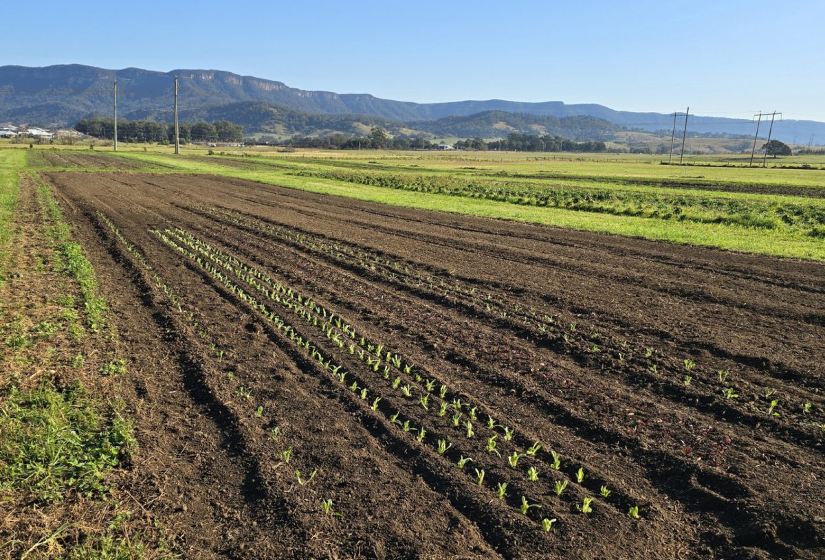 Calderwood Valley Farm